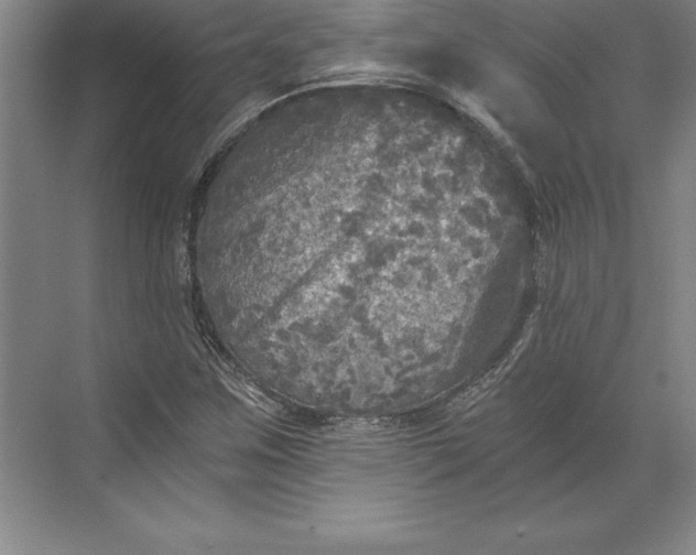 X0000071331259200607071623