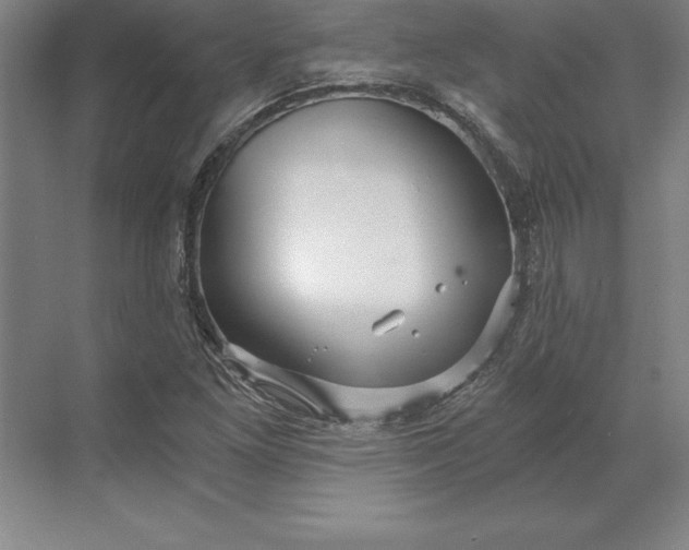 X0000071331261200607071623