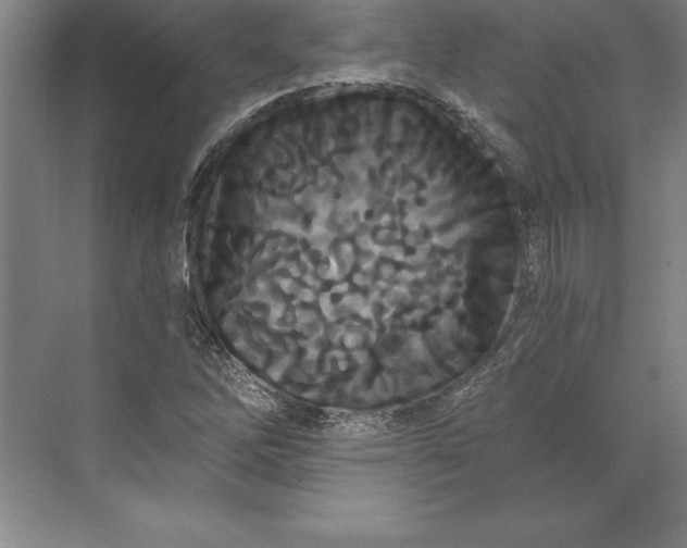 X0000071331262200607071623