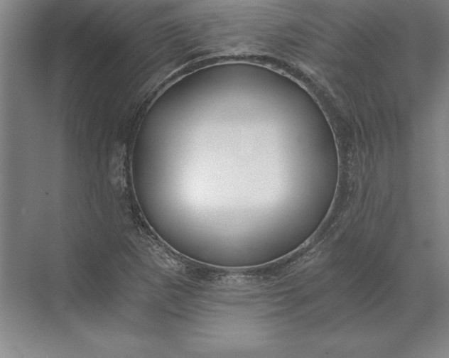 X0000071331265200607071623