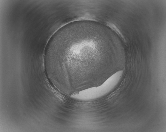 X0000071331268200607071623