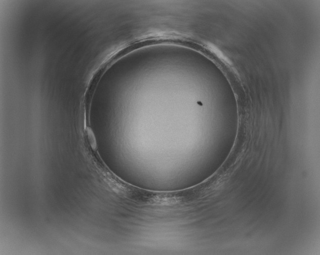 X0000071331269200607071623