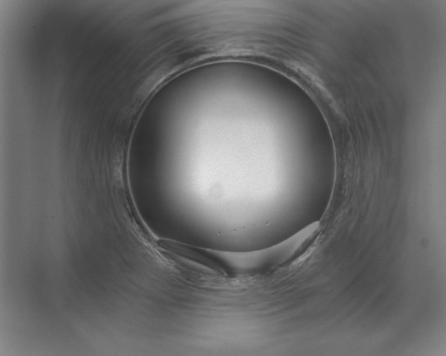 X0000071331273200607071623