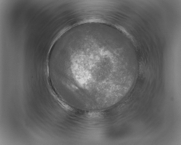 X0000071331274200607071623