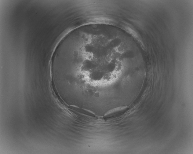 X0000071331275200607071623