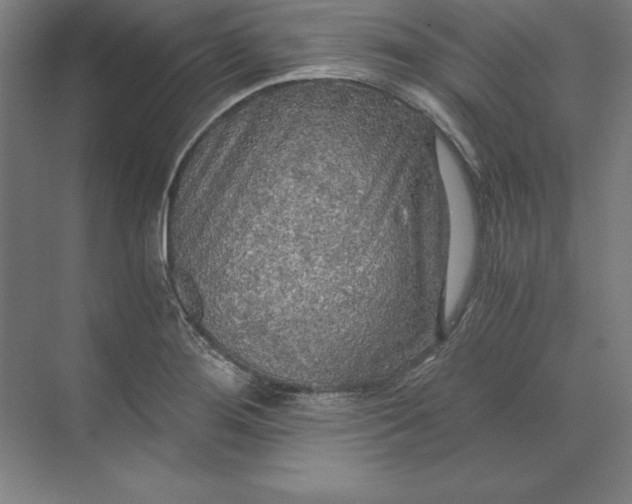 X0000071331276200607071623