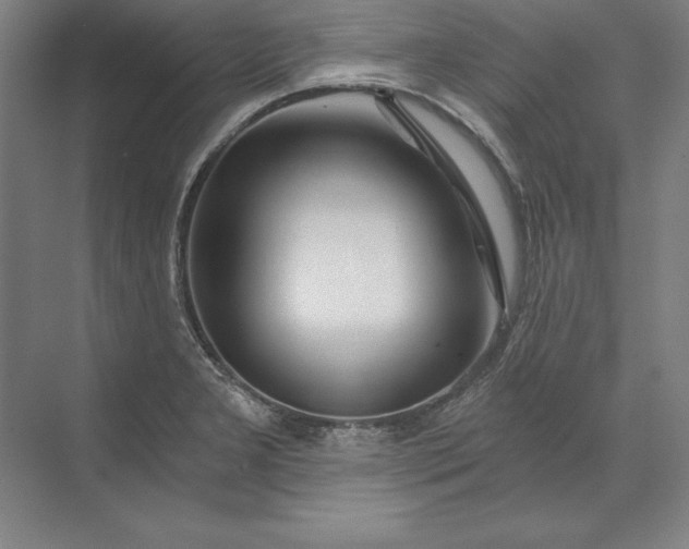 X0000071331277200607071623