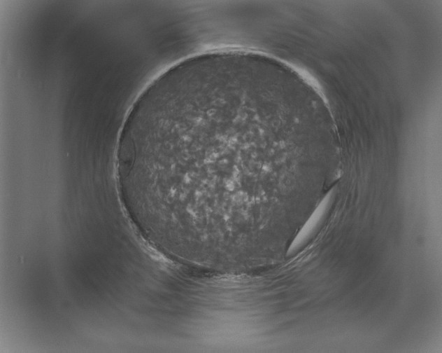 X0000071331279200607071623