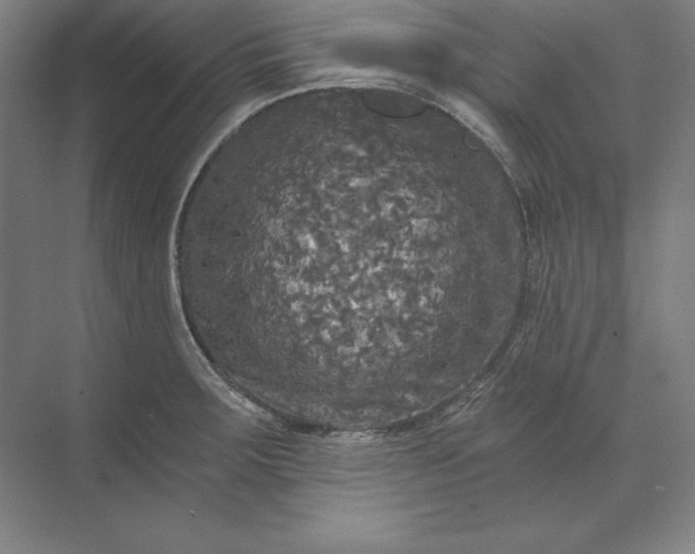 X0000071331283200607071623