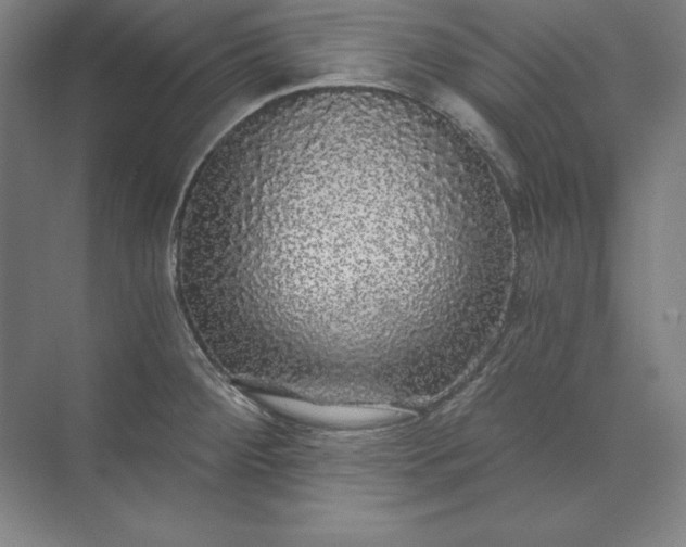 X0000071331284200607071623