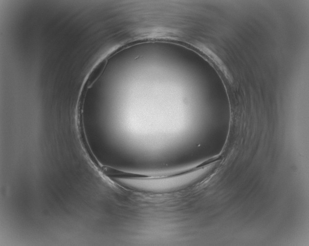 X0000071331285200607071623