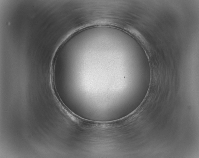 X0000071331286200607071623