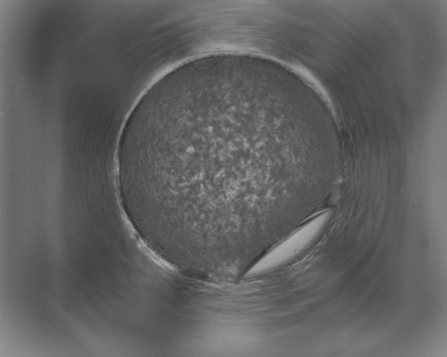 X0000071331287200607071622