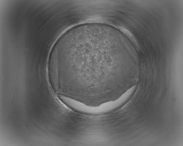 X0000071331288200607071622