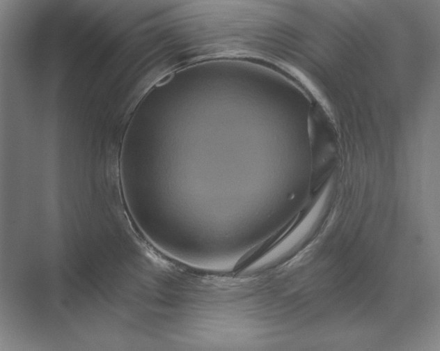 X0000071331289200607071622