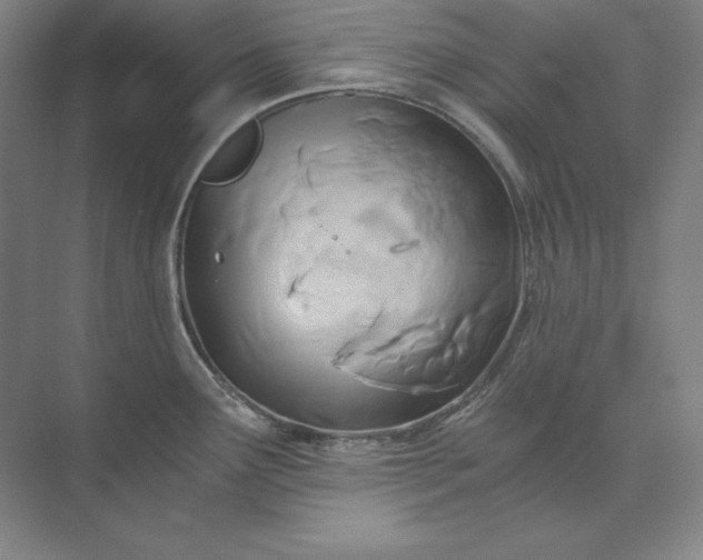 X0000071331291200607071622