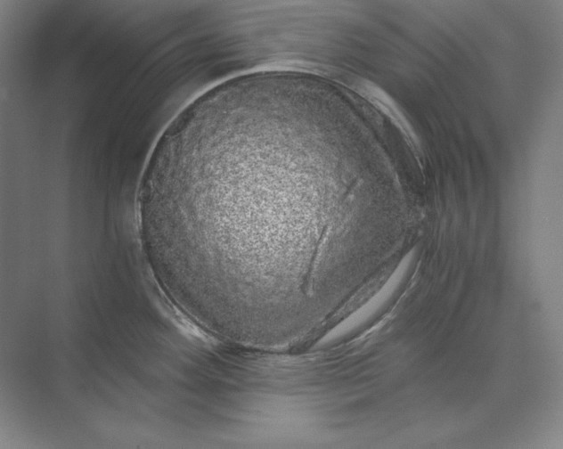 X0000071331292200607071622