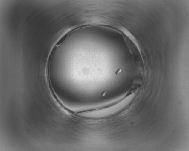 X0000071331293200607071622