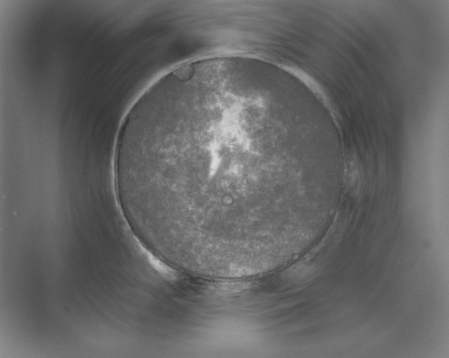 X0000071331294200607071622