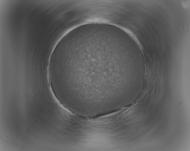 X0000071331295200607071622