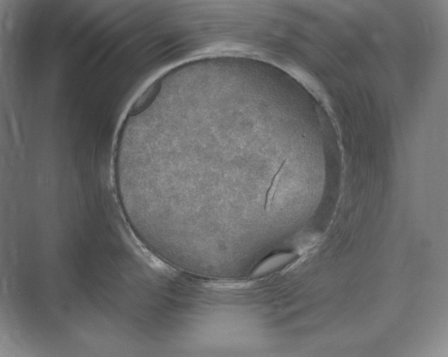 X0000071331296200607071622