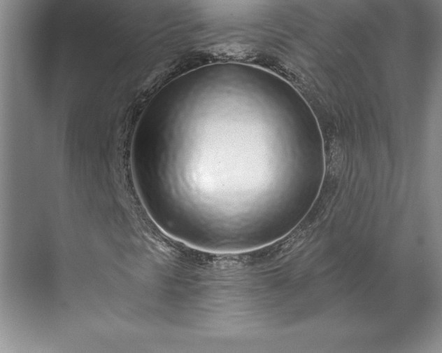 X0000071331297200607071622