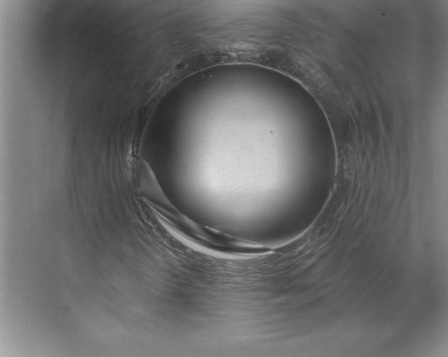 X0000071331298200607071622