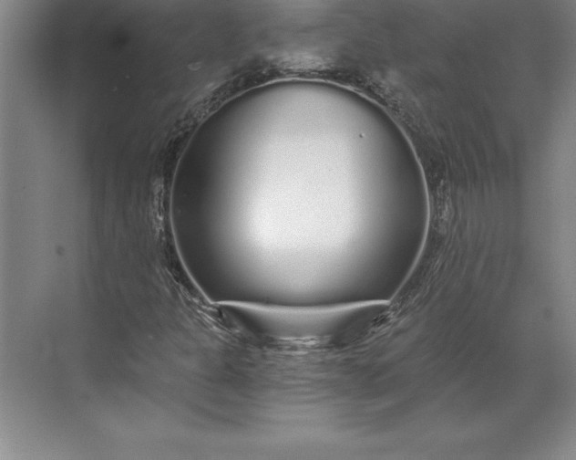 X0000071331301200607071622