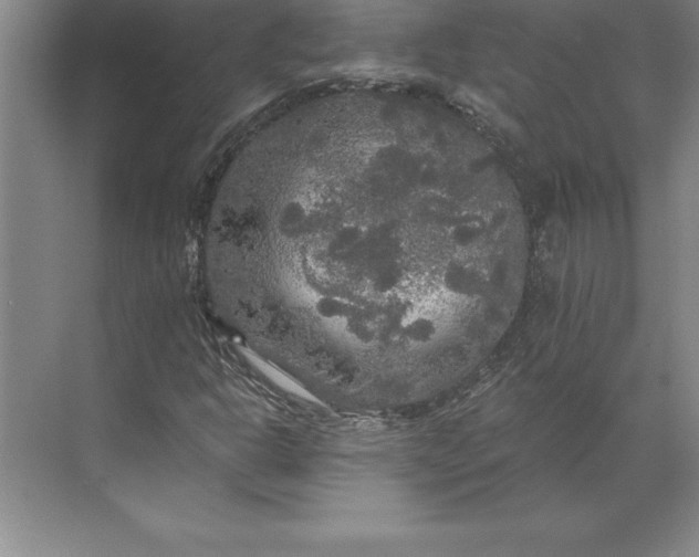 X0000071331302200607071622