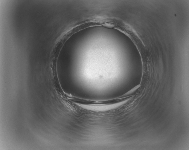 X0000071331304200607071622