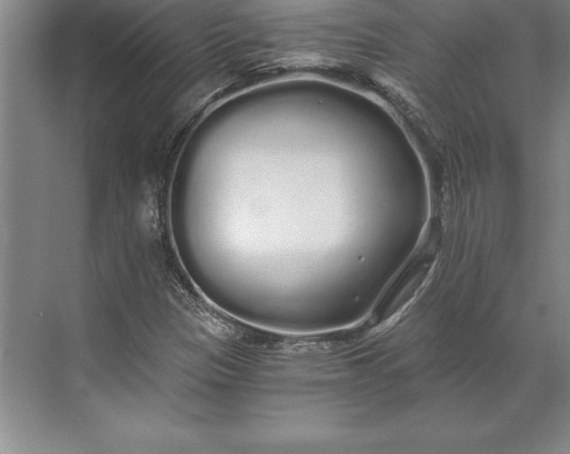 X0000071331305200607071622