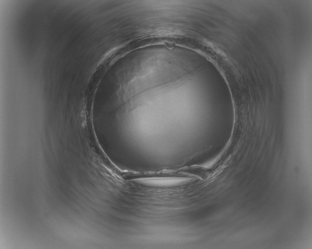 X0000071331306200607071622