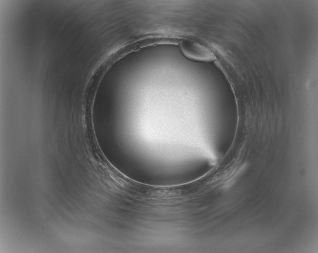 X0000071331307200607071622