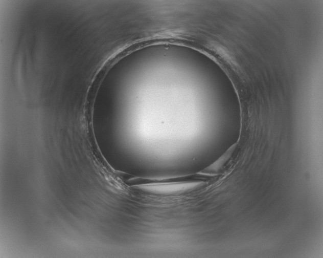 X0000071331308200607071622