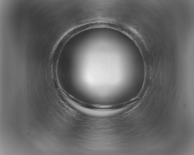 X0000071331310200607071622