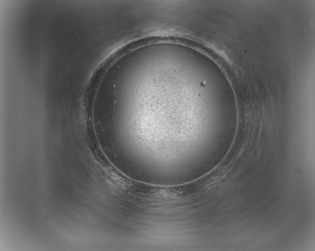 X0000071331311200607071622