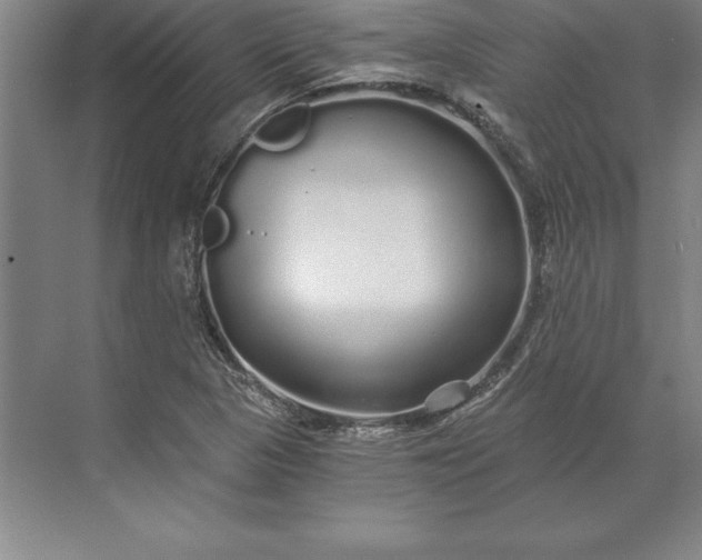 X0000071331313200607071622