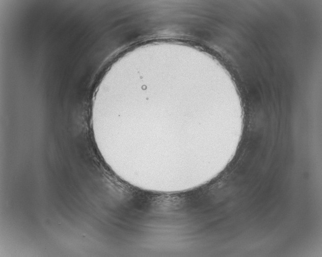 X0000071331314200607071622