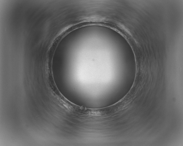 X0000071331315200607071622