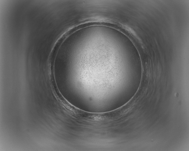 X0000071331318200607071622