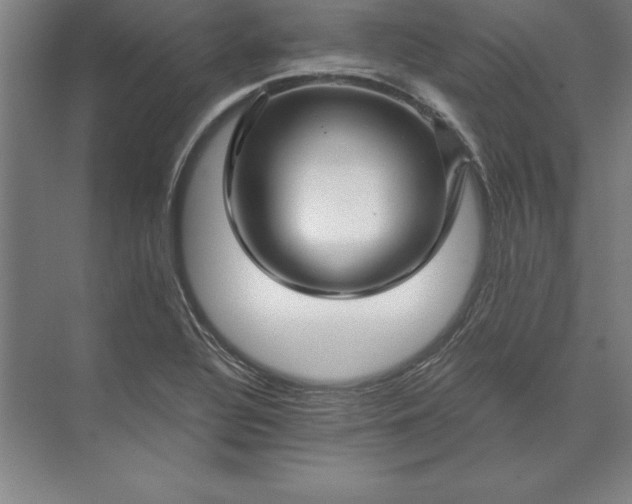 X0000071331320200607071622