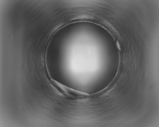 X0000071331321200607071622