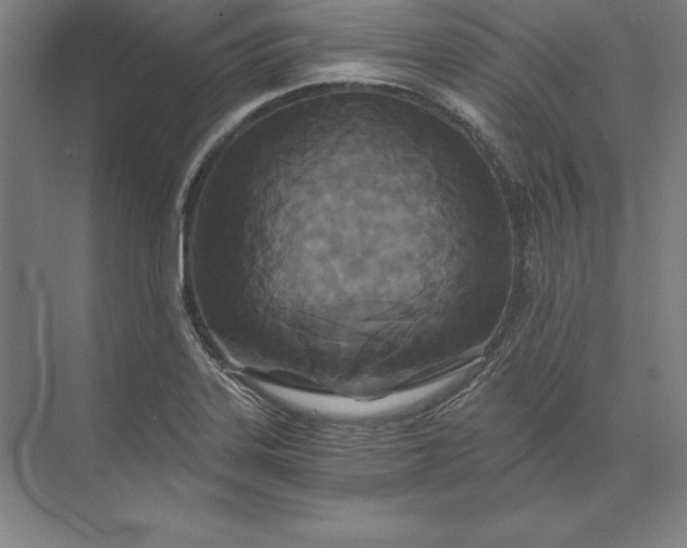 X0000071331323200607071622