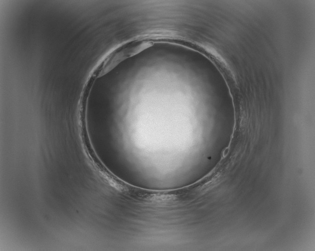 X0000071331325200607071622