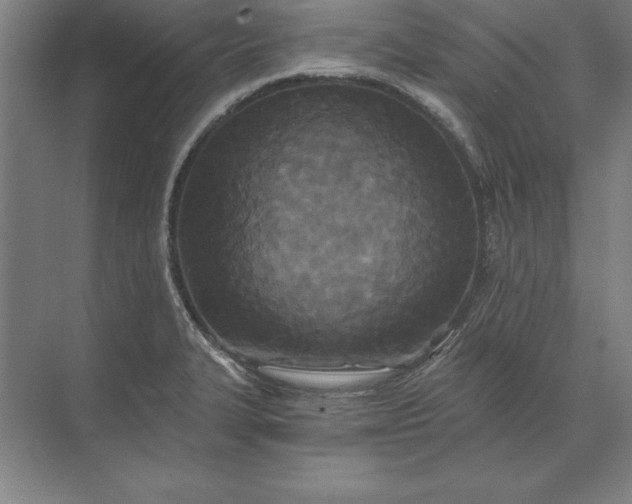 X0000071331327200607071622