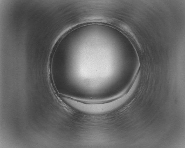 X0000071331328200607071622