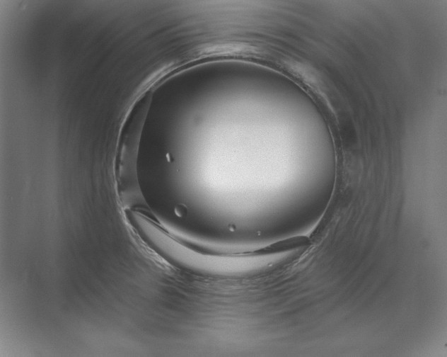 X0000071331330200607071622