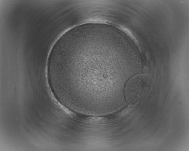 X0000071331331200607071622