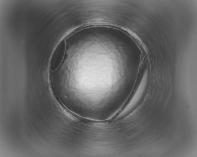 X0000071331333200607071622