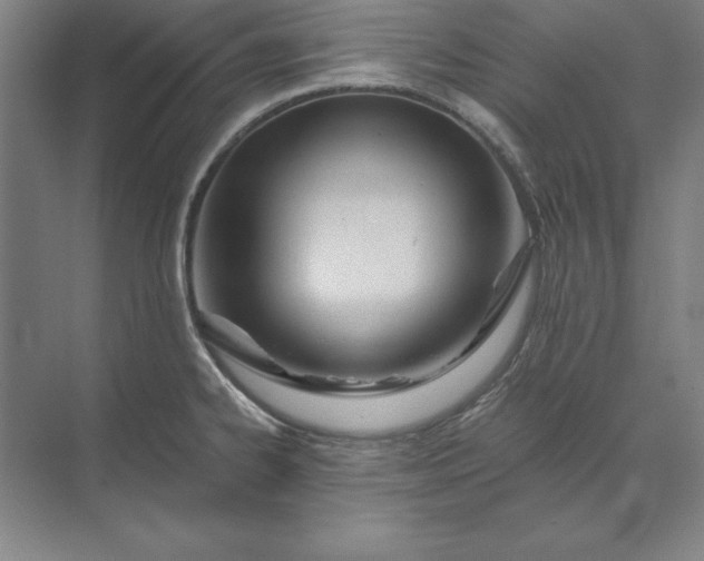 X0000071331334200607071622